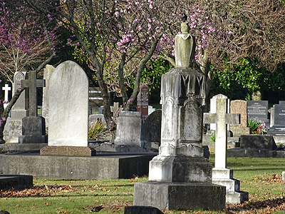 Rotorua Cemetery - Sala Street - Rotorua - New Zealand - 12 August 2014 - 16:59