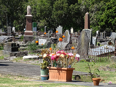 Purewa Cemetery - Meadowbank - Auckland - New Zealand - 25 January 2015 - 15:20