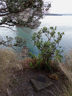 Stokes Point - Northcote Point - Auckland - New Zealand - 28 January 2015 - 6:37