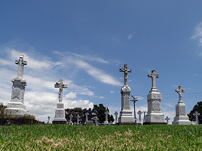 St Patricks Catholic Cemetery - Church Crescent - Panmure - Auckland - New Zealand - 29 December 2014 - 13:01