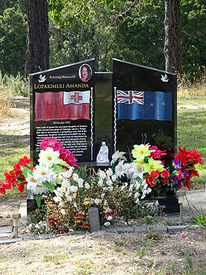 Waikumete Cemetery - Glenview Road - Glen Eden - Auckland - New Zealand - 18 February 2015 - 10:02