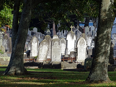 Waikaraka Cemetery - Onehunga - Auckland - New Zealand - 2 March 2015 - 9:31