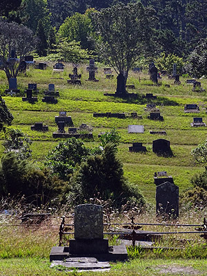 Waikumete Cemetery - Glenview Road - Glen Eden - Auckland - New Zealand - 13 February 2015 - 17:08
