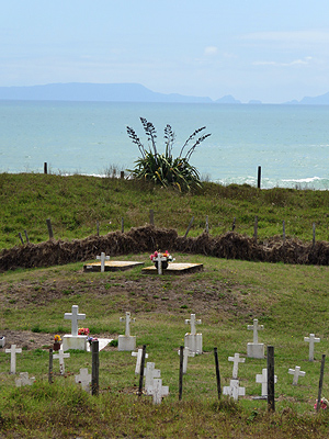 Whananaki South - New Zealand - 4 January 2016 - 12:10