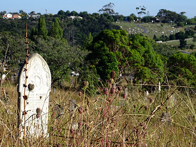 Waikumete Cemetery - Glenview Road - Glen Eden - Auckland - New Zealand - 18 February 2015 - 9:10