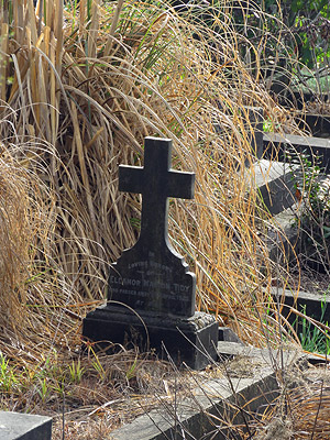 Hillsborough Cemetery - Clifton Road - Auckland - New Zealand - 19 February 2016 - 8:31