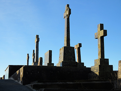 Hillsborough Cemetery - Clifton Road - Auckland - New Zealand - 9 May 2016 - 16:32