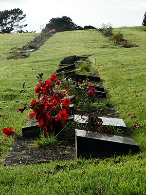 Eskdale Road - Birkenhead/Glenfield - Auckland - New Zealand - 6 June 2014 - 9:01