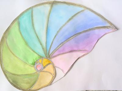 2025 F&uuml;llhorn Muschel