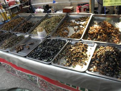 Leckereienstand am Stra&szlig;enrend ;) (Heuschrecken, Maden, Karkerlaken.. was das Herz begehrt)