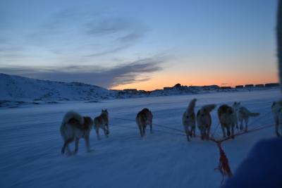 Hundeschlittenfahrt in Ilulissat