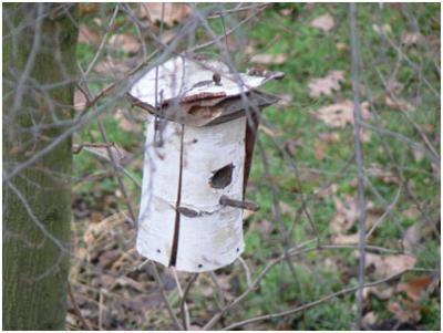 das Vogelhäuschen hängt an einem Baum vor meinem Haus.