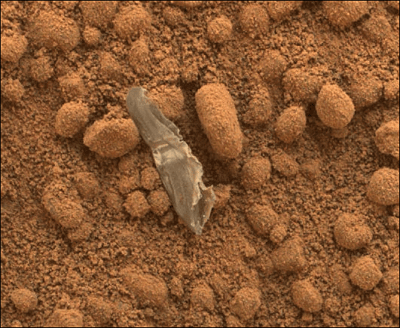 Mars-Fund, wahrscheinlich vom Lander