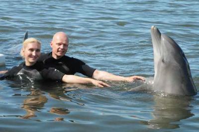 swimming with dolphines