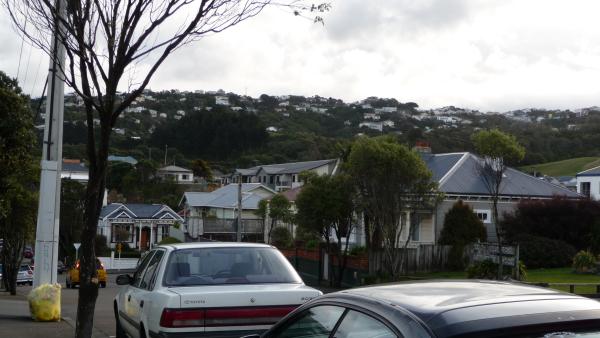Wellington, von uns aus gesehen.