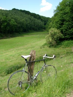 Im Stinderbachtal bei Erkrath 