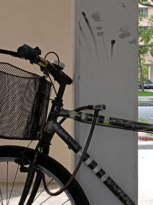 Block 833 - Tampines Palm Walk - Singapore - 20090425 - 10:30