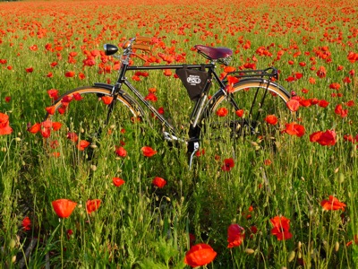 bicicletta classica im Frühsommer in Bayern