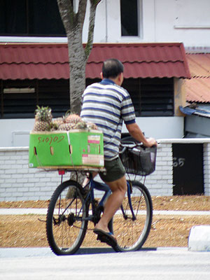 Potong Pasir Avenue 1 - Upper Serangoon Road - Singapore