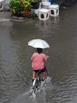 Sukhumvit 105 Lasalle - Soi 33 - Bang Na - Bangkok - 31 May 2013 - 15:28