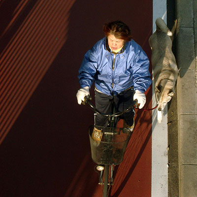 Minato-Dori - Osaka - Japan