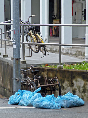 King George's Avenue - Singapore