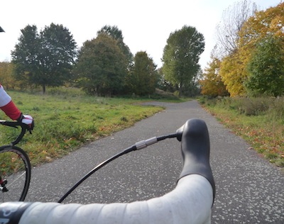 Völlig versteckt und zugewuchert: Eine alte Rennbahn. 280 m. Leicht überhöhte Kurven.