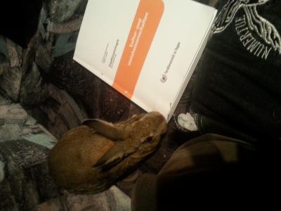 Flei&szlig;ige Helfer :-)