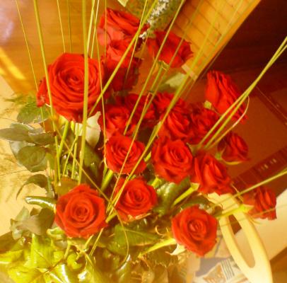 rose rose