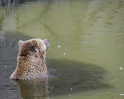 Baerbel nimmt ein Bad