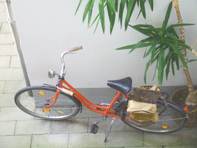 Mal wieder Farrad fahren