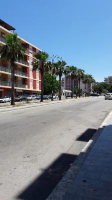 also ich mag Palmen, wie ist es mit euch