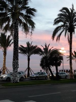 beleuchtete Palmen an der beruehmten Promenade des Anglais