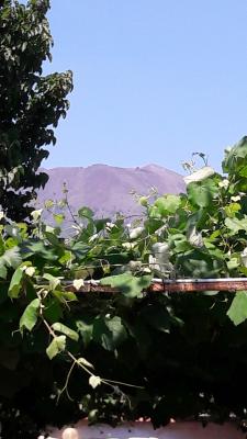 der Vesuv, vom Garten aus aufgenommen