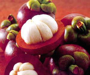 mangostane2