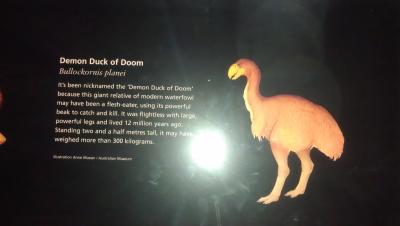 Demon Duck of Doom