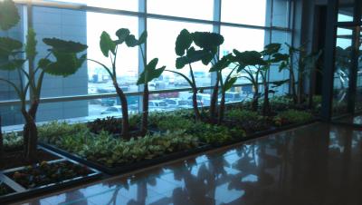 Pflanzenwelt am Flughafen von Seoul
