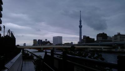 Tokyo Skytree gesehen vom Westufer des Sumidagawa Flusses