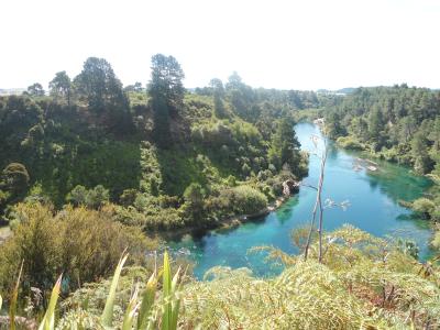Waikato River Taupo