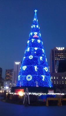 Beleuchteter Weihnachtsbaum vor der Stadthalle