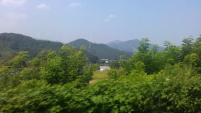 Irgendwo zwischen Seoul und Busan