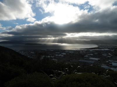Sonnenstrahlen ueber Wellington