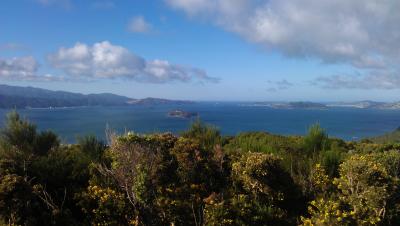 Bucht von Wellington