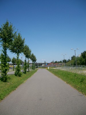 Fahrradweg in Mannheim
