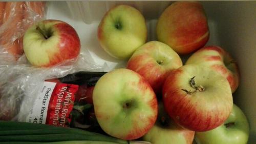 Äpfel in meinem Kühlschrank