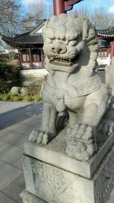 Drachen-Wache am Tor des chinesischen Gartens