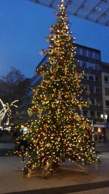 Weihnachtsbaum in Mannheim - bei den neuen Q-Quadraten