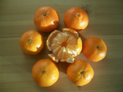 Mandarinenblume
