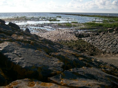 Steine am Ufer
