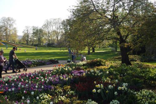 Luisenpark: Immer gut für einen Besuch, aber im Frühling ist es am schönsten!